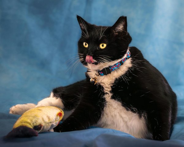 What are the secrets to a flawless beef Wellington?